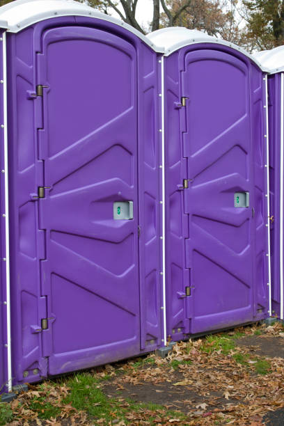 Best Standard Portable Toilet Rental  in Williamson, WV